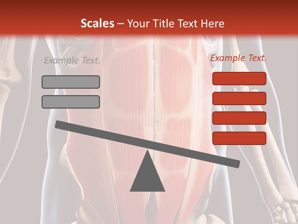 Sixpack Abdominal Anatomy PowerPoint Template