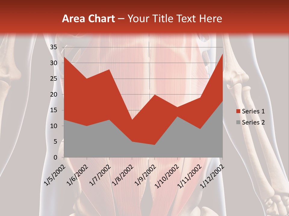 Sixpack Abdominal Anatomy PowerPoint Template