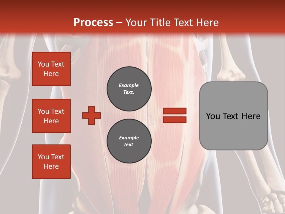 Sixpack Abdominal Anatomy PowerPoint Template