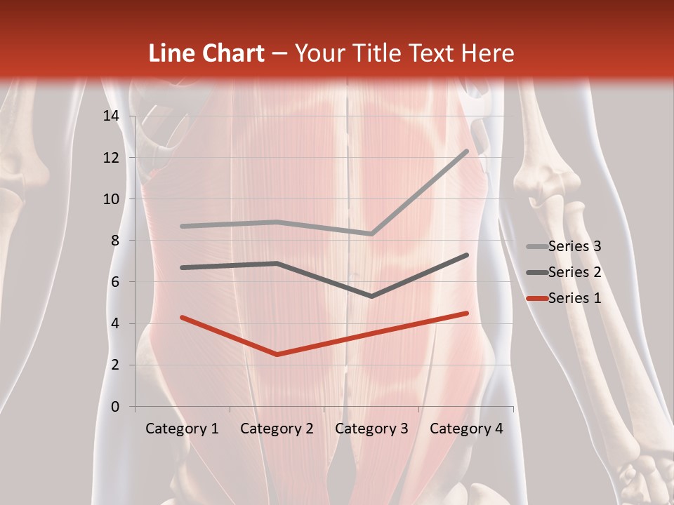 Sixpack Abdominal Anatomy PowerPoint Template