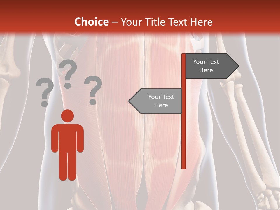 Sixpack Abdominal Anatomy PowerPoint Template