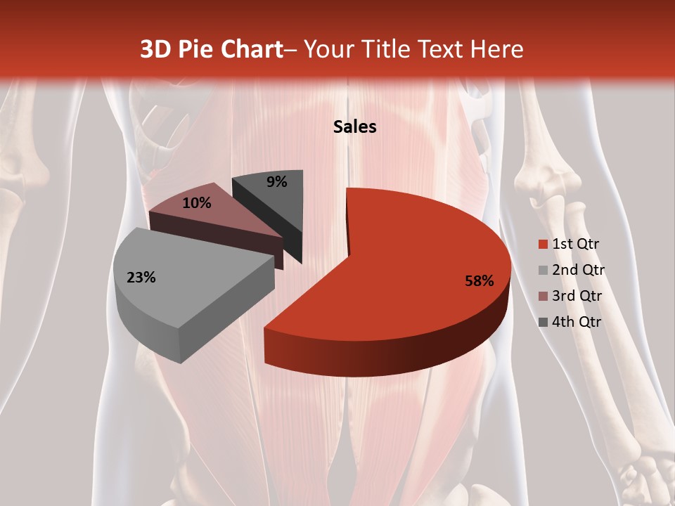 Sixpack Abdominal Anatomy PowerPoint Template