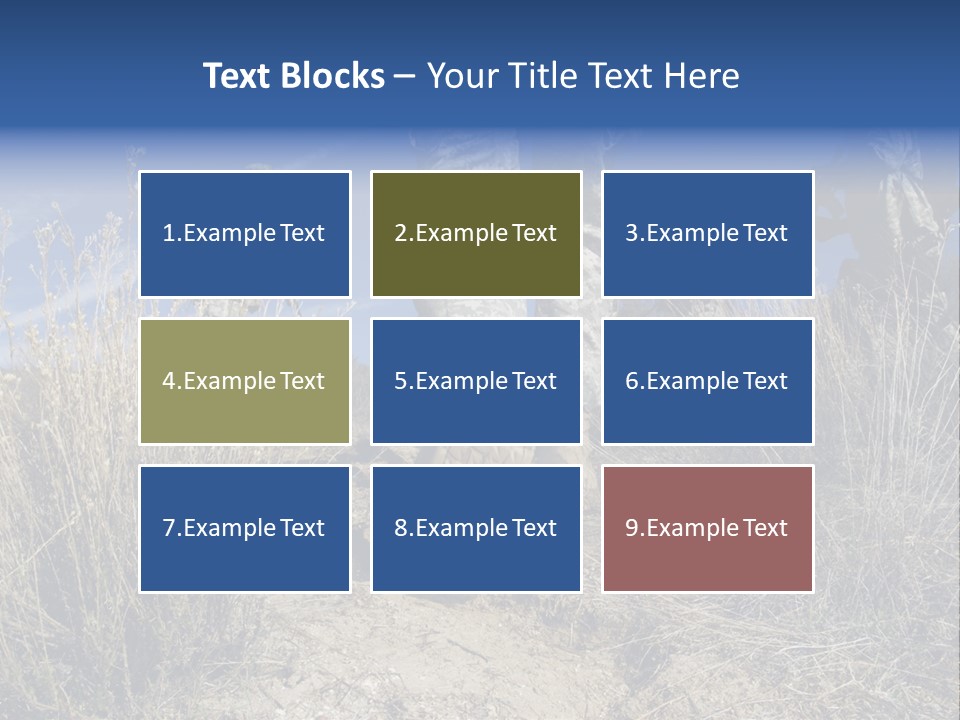 Mid Man Military Military Forces PowerPoint Template