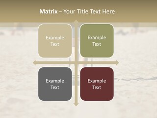 Workout Strong Sportswear PowerPoint Template