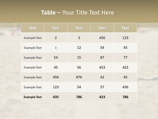 Workout Strong Sportswear PowerPoint Template