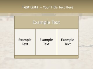 Workout Strong Sportswear PowerPoint Template