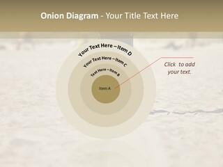 Workout Strong Sportswear PowerPoint Template