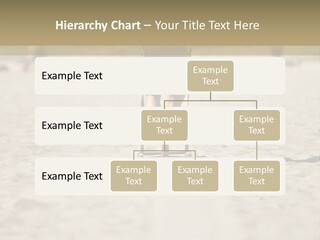 Workout Strong Sportswear PowerPoint Template