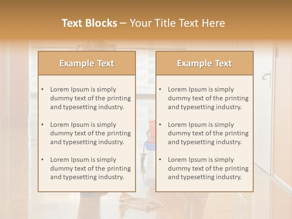 A Woman Cleaning The Floor With A Mop PowerPoint Template