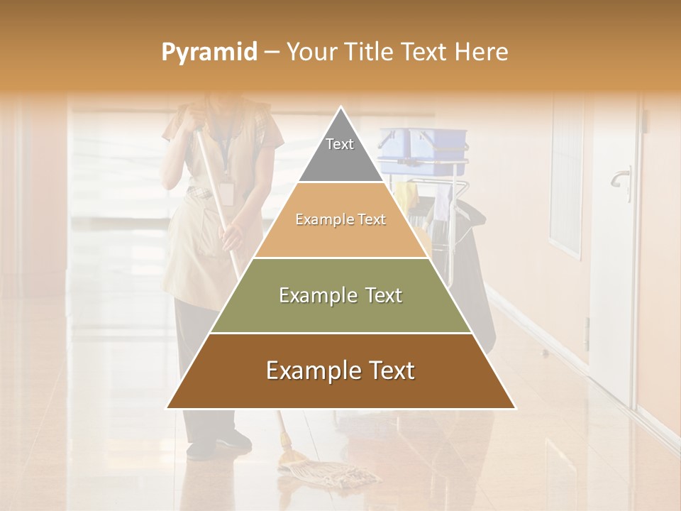 A Woman Cleaning The Floor With A Mop PowerPoint Template