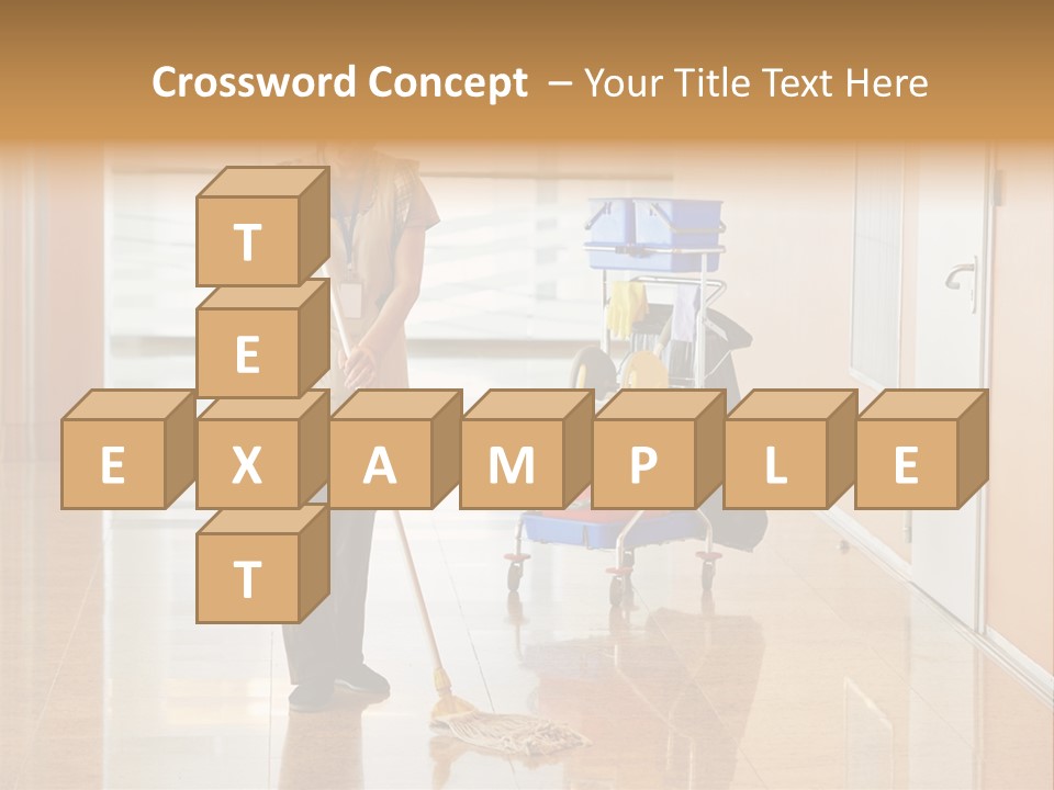 A Woman Cleaning The Floor With A Mop PowerPoint Template