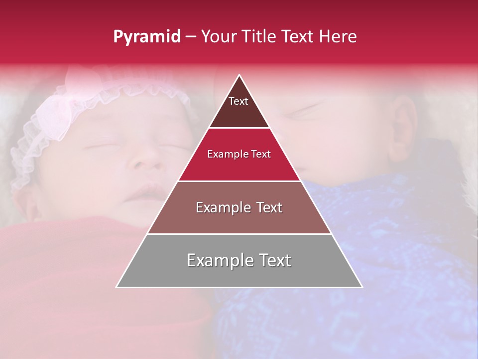 Fraternal Baby Sisters PowerPoint Template