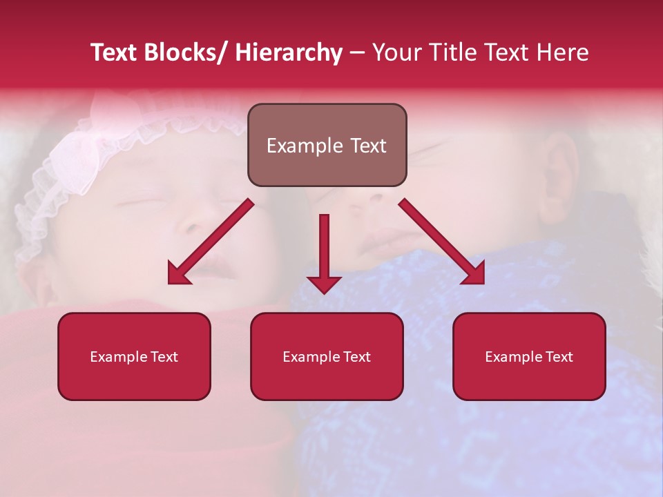 Fraternal Baby Sisters PowerPoint Template