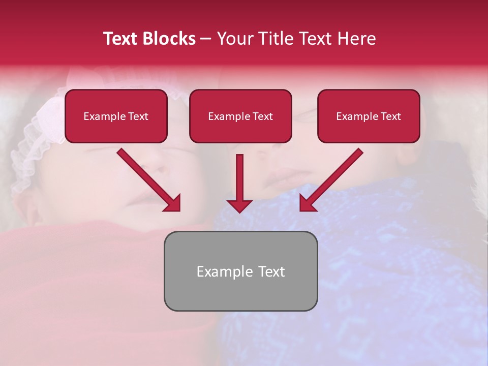 Fraternal Baby Sisters PowerPoint Template
