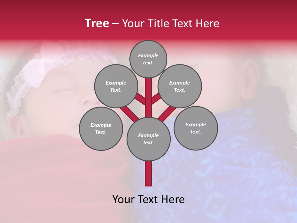 Fraternal Baby Sisters PowerPoint Template