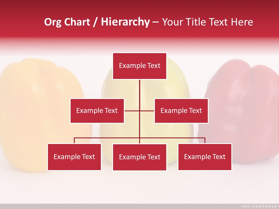 Joshua Tree Nature PowerPoint Template