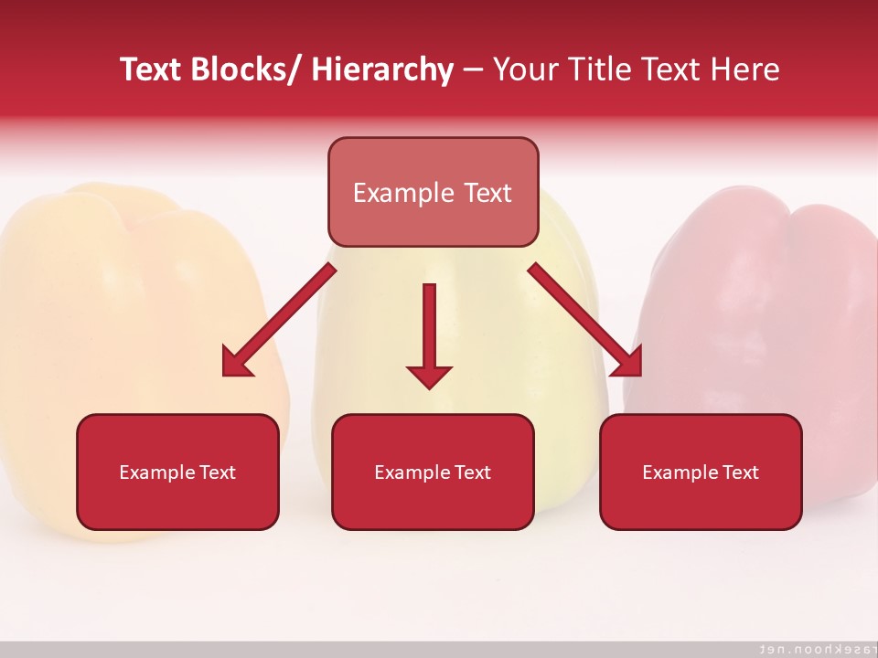 Joshua Tree Nature PowerPoint Template