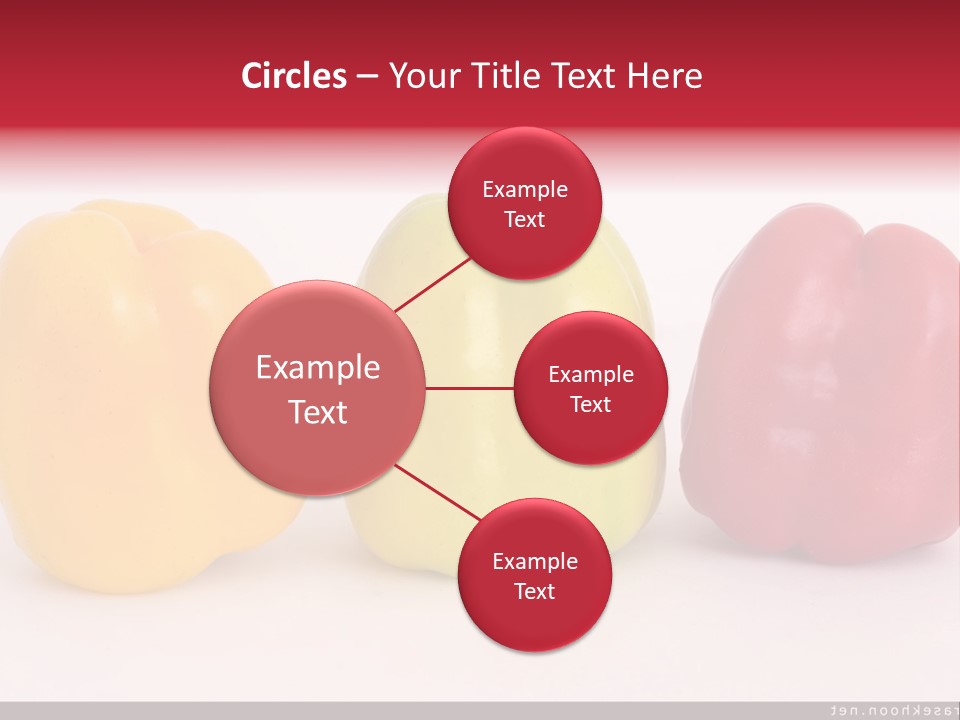 Joshua Tree Nature PowerPoint Template