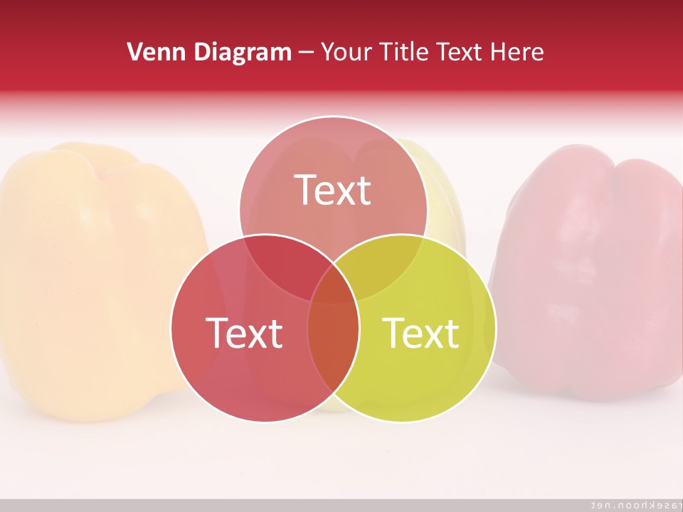 Joshua Tree Nature PowerPoint Template