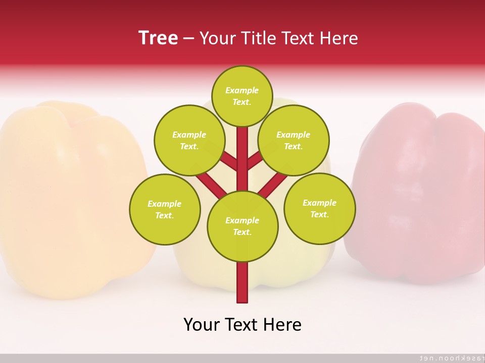 Joshua Tree Nature PowerPoint Template