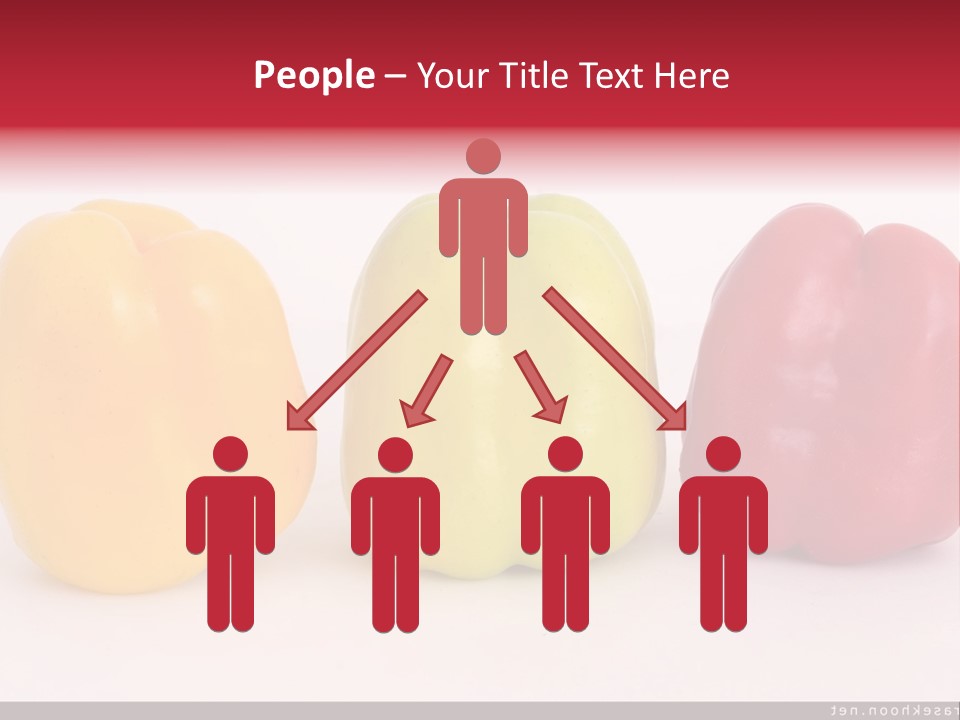 Joshua Tree Nature PowerPoint Template