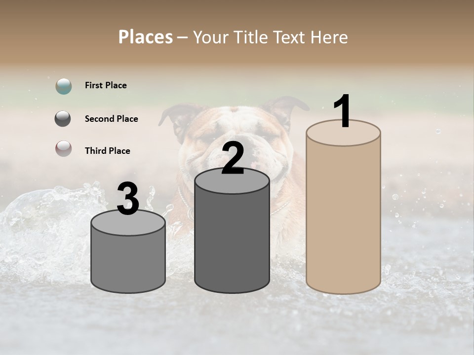 Portrait Funny Fun PowerPoint Template