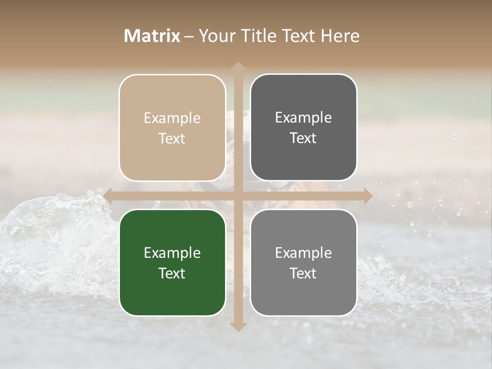 Portrait Funny Fun PowerPoint Template