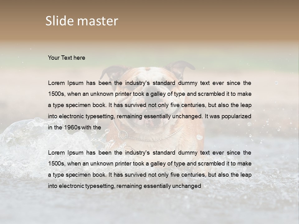 Portrait Funny Fun PowerPoint Template