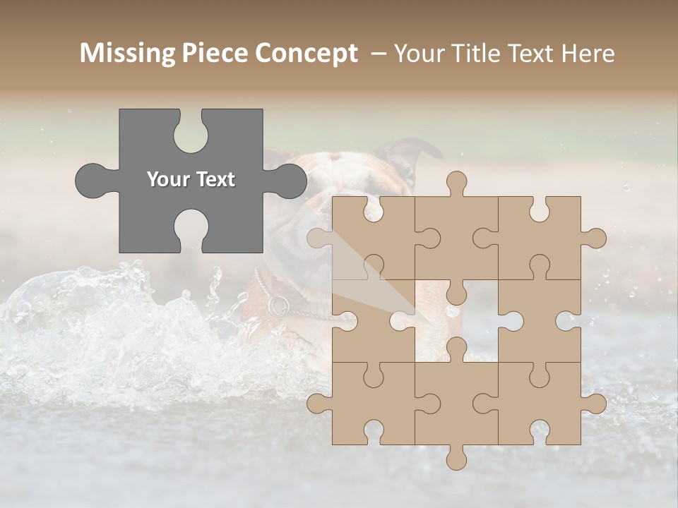 Portrait Funny Fun PowerPoint Template