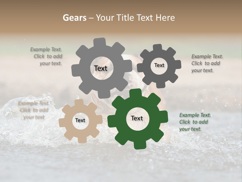 Portrait Funny Fun PowerPoint Template