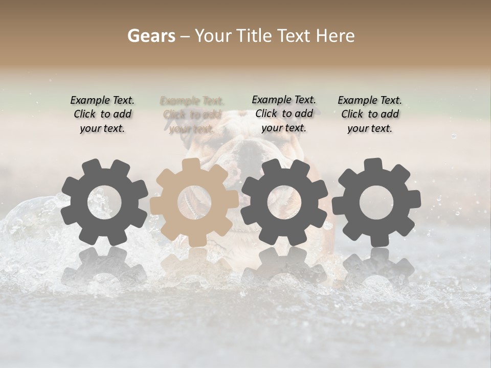 Portrait Funny Fun PowerPoint Template