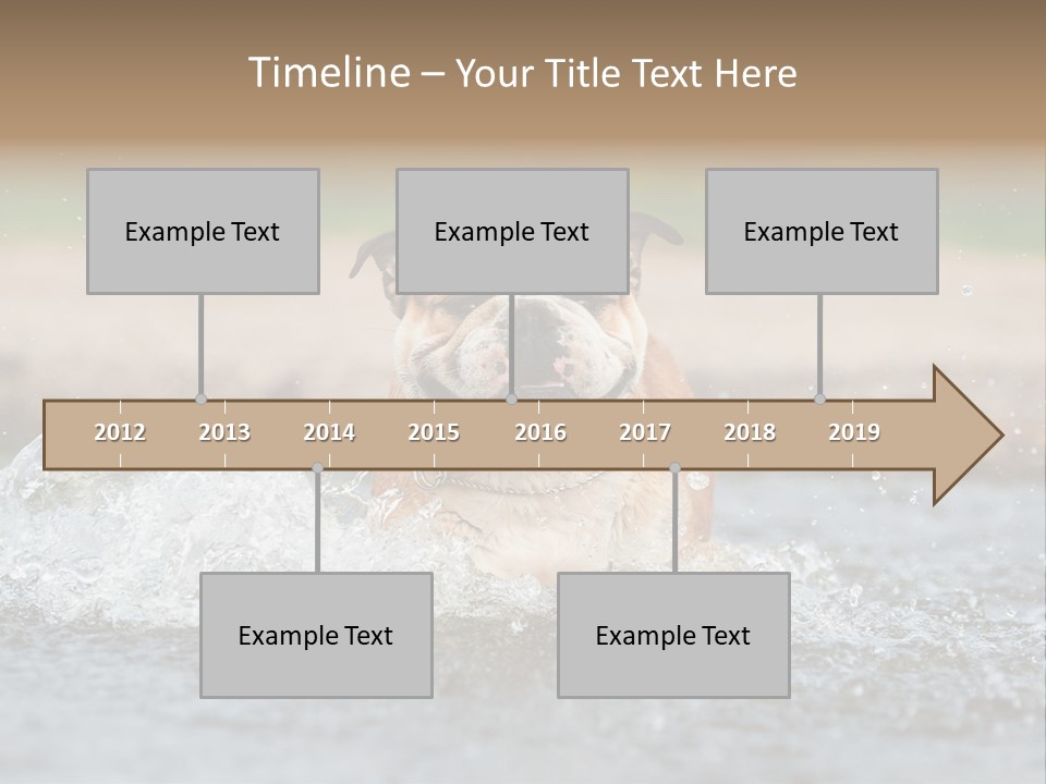 Portrait Funny Fun PowerPoint Template