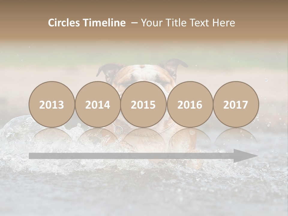 Portrait Funny Fun PowerPoint Template