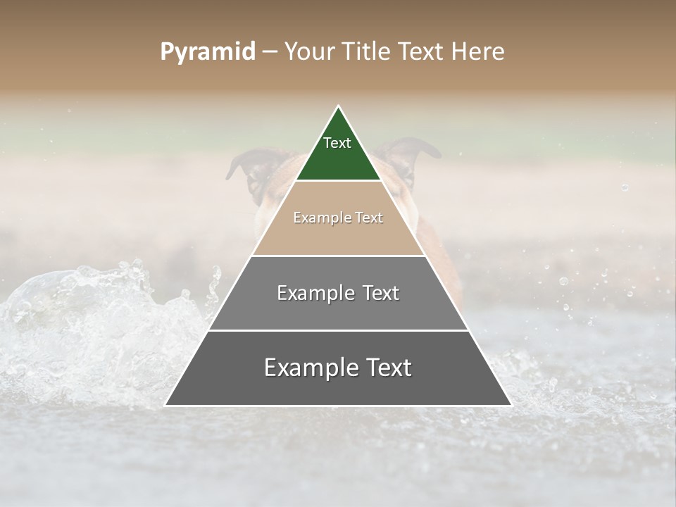 Portrait Funny Fun PowerPoint Template