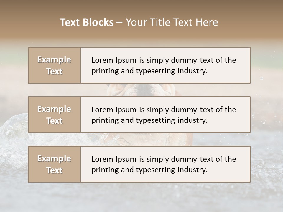 Portrait Funny Fun PowerPoint Template