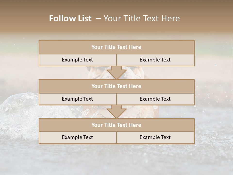 Portrait Funny Fun PowerPoint Template