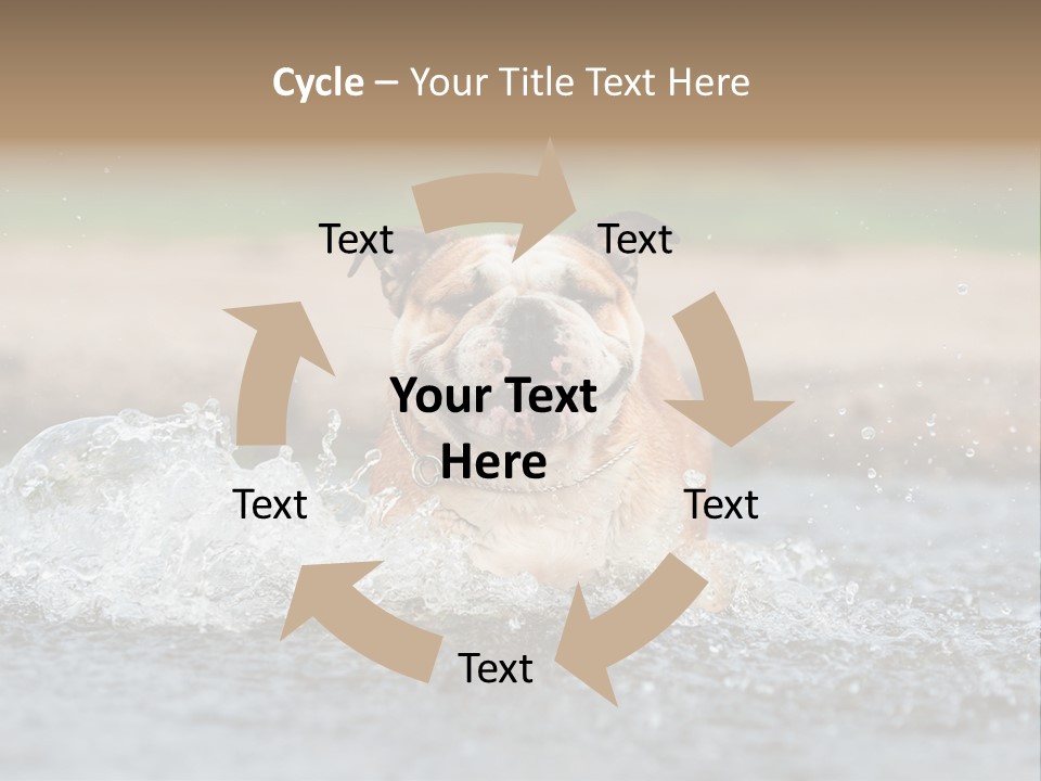 Portrait Funny Fun PowerPoint Template