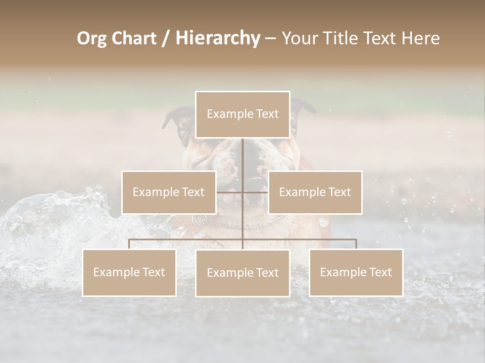 Portrait Funny Fun PowerPoint Template