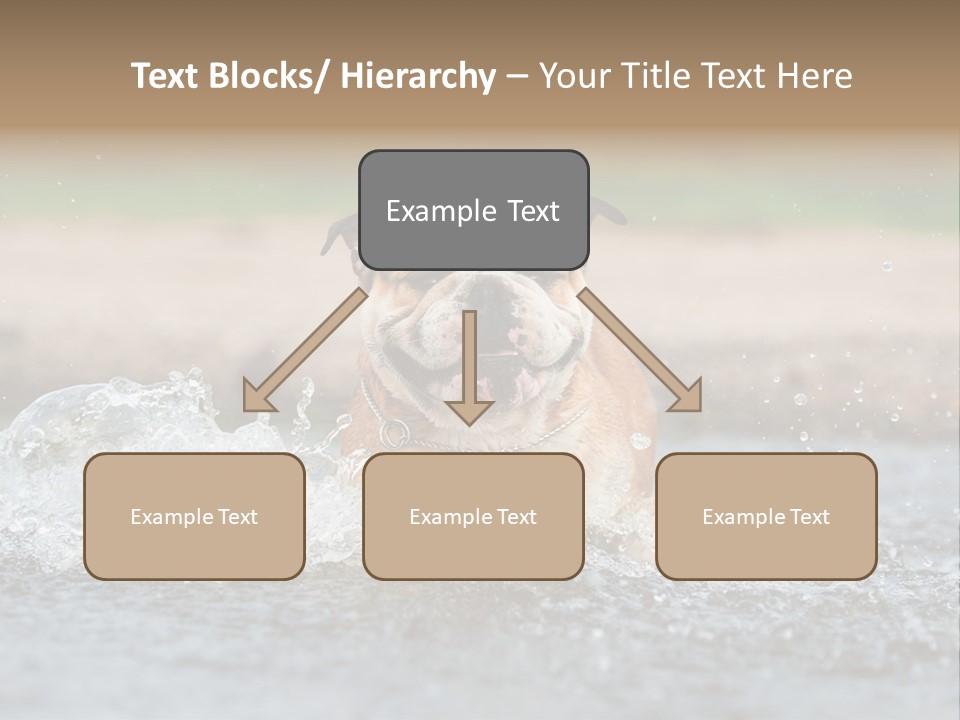 Portrait Funny Fun PowerPoint Template