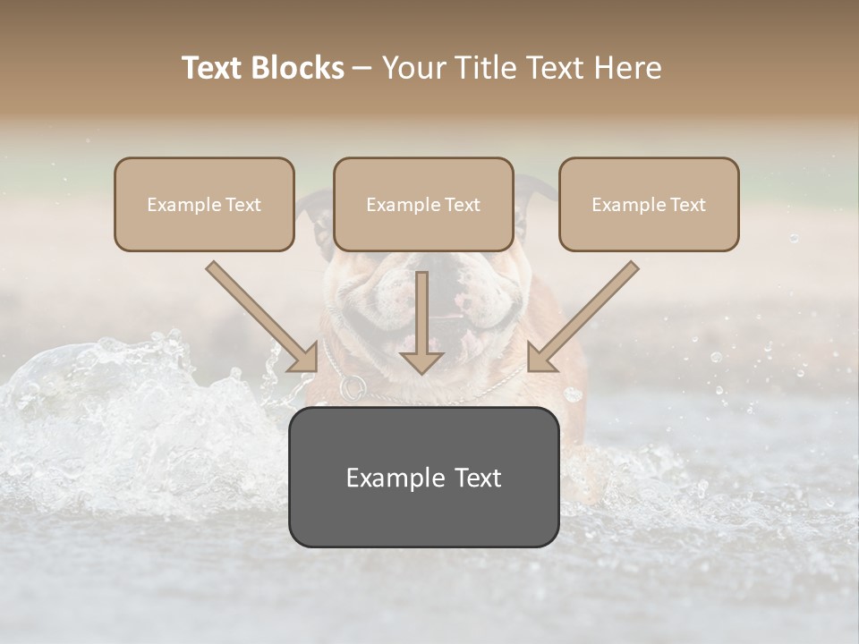 Portrait Funny Fun PowerPoint Template