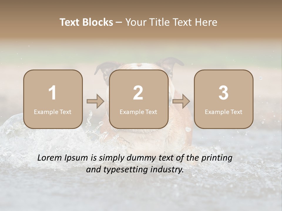 Portrait Funny Fun PowerPoint Template