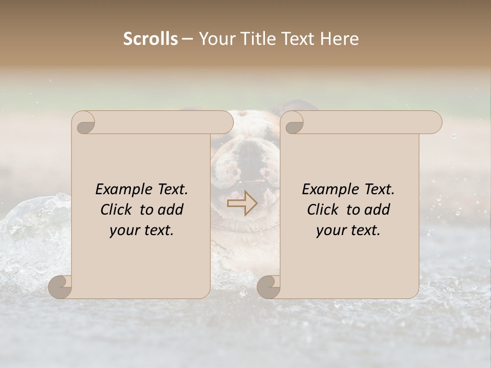 Portrait Funny Fun PowerPoint Template