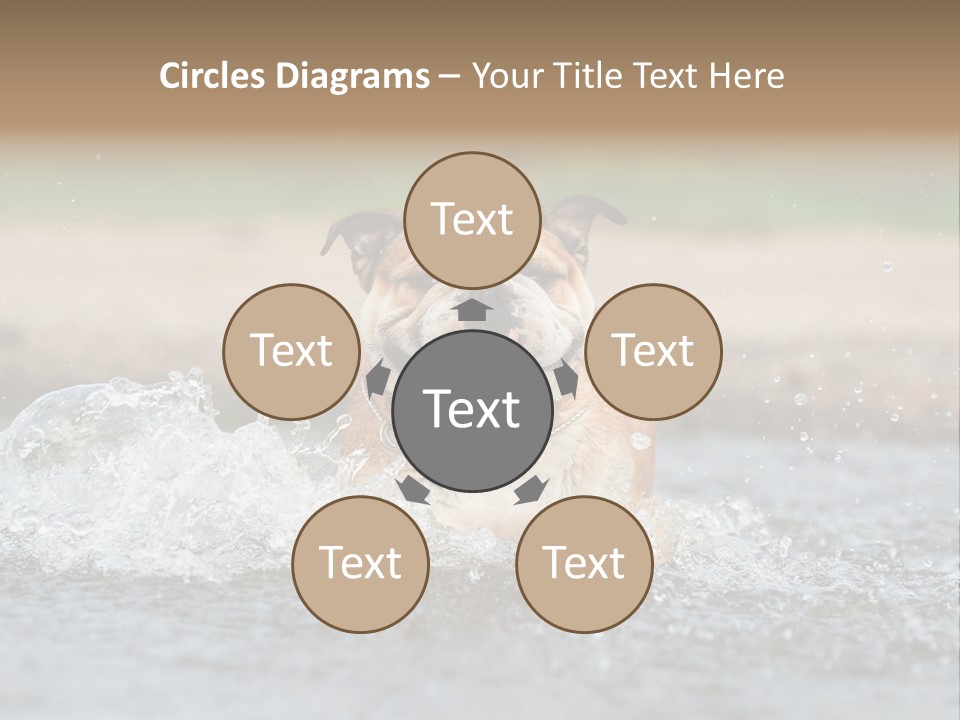 Portrait Funny Fun PowerPoint Template