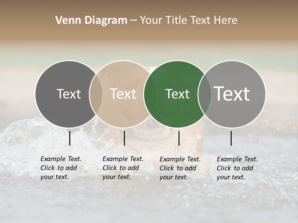 Portrait Funny Fun PowerPoint Template