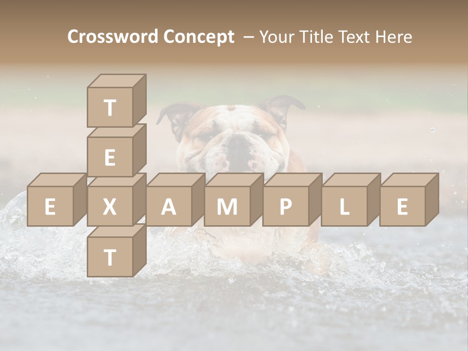 Portrait Funny Fun PowerPoint Template