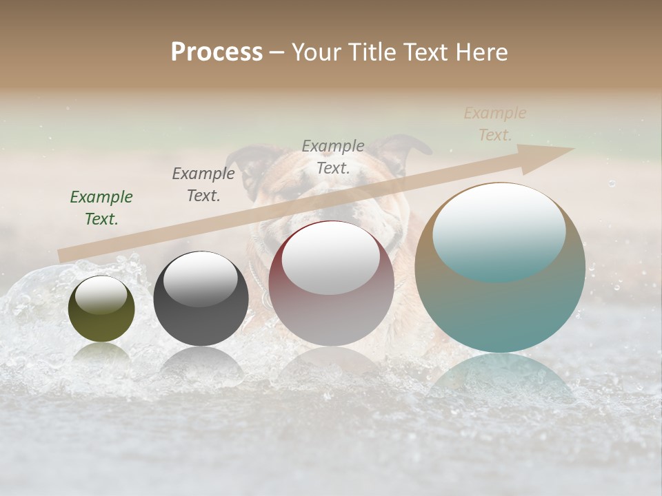 Portrait Funny Fun PowerPoint Template