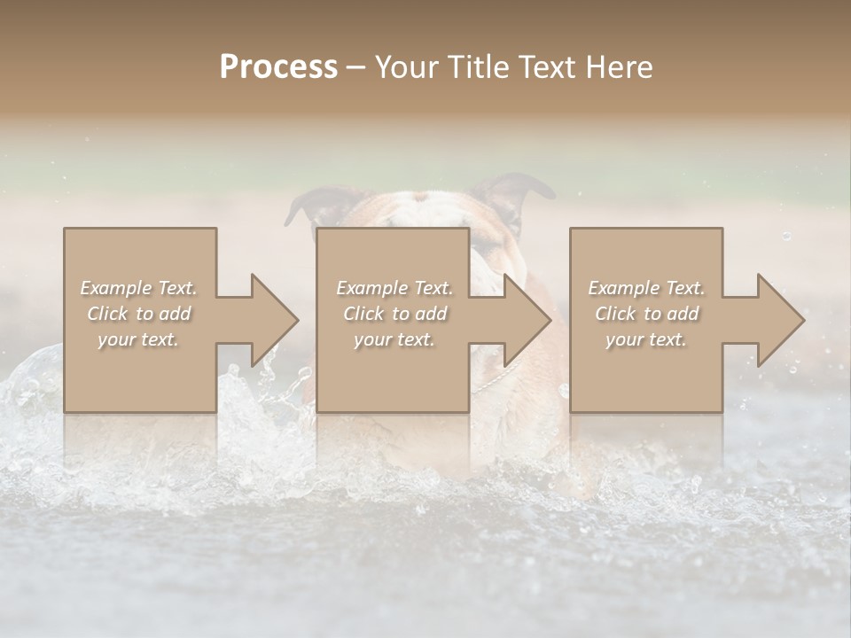 Portrait Funny Fun PowerPoint Template