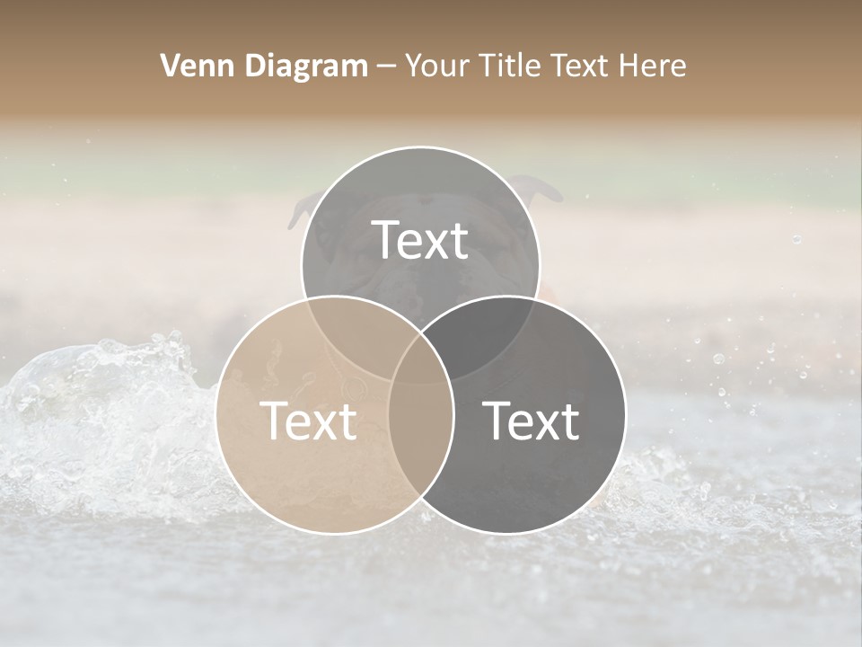 Portrait Funny Fun PowerPoint Template