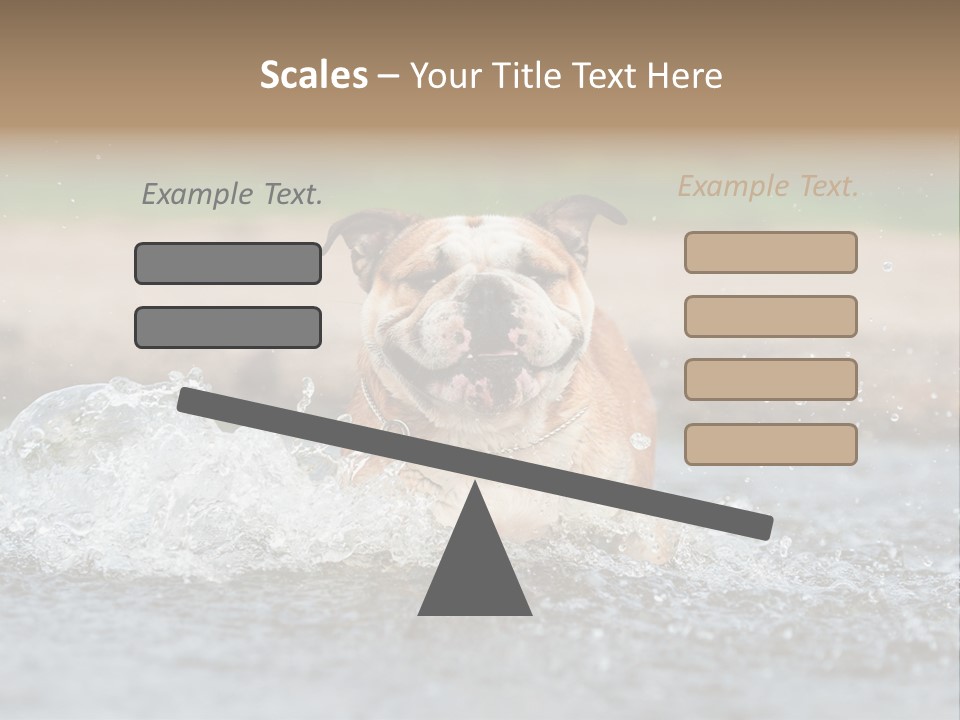 Portrait Funny Fun PowerPoint Template