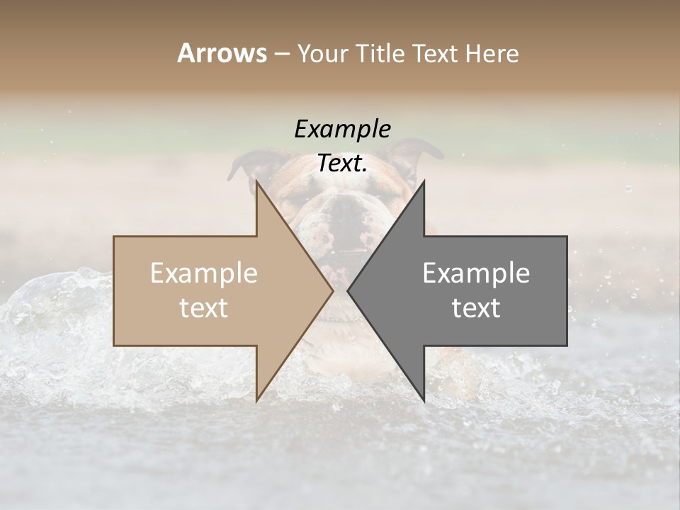 Portrait Funny Fun PowerPoint Template